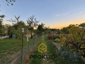 Prodej zahrady, Olomouc, K Lesíku, 267 m2