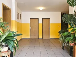 Pronájem bytu 2+kk, Písek, Zátavské nábř., 46 m2
