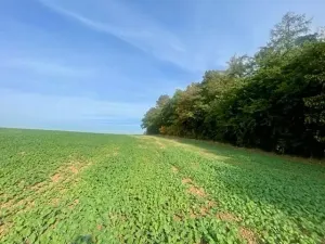 Prodej pole, Praha - Liboc, Na Padesátníku I, 24066 m2