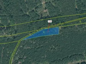 Dražba lesa, Jesenice, 1636 m2