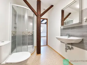 Pronájem bytu 1+kk, Hrob, Rybniční, 47 m2