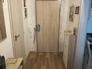 Pronájem bytu 1+1, Pardubice, Lonkova, 41 m2
