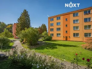 Prodej bytu 1+1, Velké Losiny, sídl. U papírny, 37 m2
