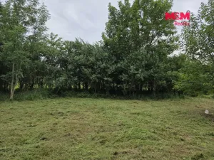 Prodej pozemku pro bydlení, Bor - Boječnice, 1093 m2