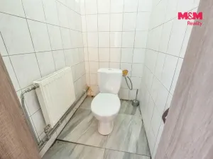 Prodej zemědělské usedlosti, Strupčice - Sušany, 150 m2