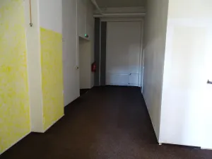 Pronájem obchodního prostoru, Šternberk, Nádražní, 334 m2