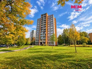 Pronájem bytu 1+kk, Ostrava - Zábřeh, Petruškova, 30 m2