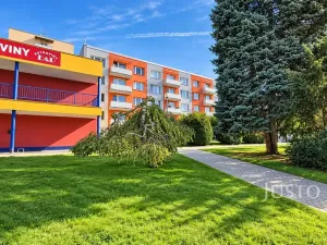 Prodej bytu 2+1, Písek, Harantova, 63 m2