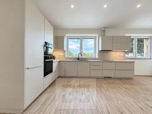 Pronájem rodinného domu, Dolní Dunajovice, Kostelní, 130 m2