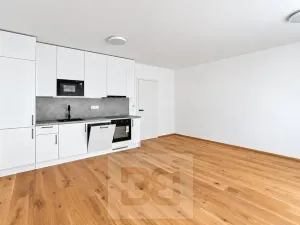 Prodej bytu 1+kk, Praha - Košíře, Starokošířská, 40 m2