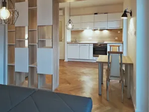Pronájem bytu 1+kk, Praha - Žižkov, Slavíkova, 42 m2