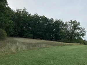 Prodej louky, Ostřetín - Vysoká u Holic, 2972 m2