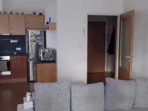 Pronájem bytu 2+kk, Brno, Křehlíkova, 55 m2