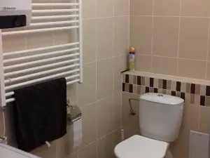 Pronájem bytu 2+kk, Brno, Křehlíkova, 55 m2