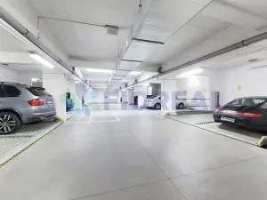 Pronájem bytu 5+1, Praha - Vinohrady, Kladská, 230 m2