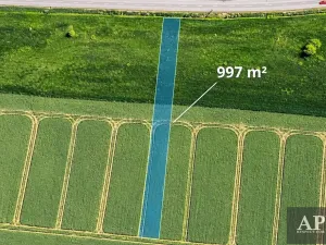 Prodej pozemku pro bydlení, Nedachlebice, 997 m2