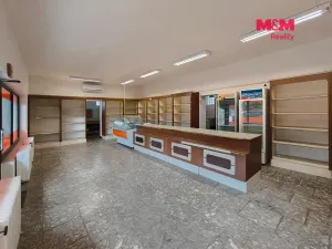 Pronájem obchodního prostoru, Krásné, 198 m2
