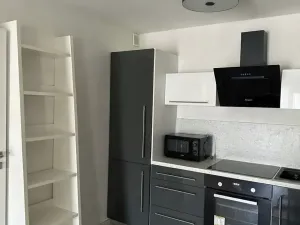 Pronájem bytu 2+kk, Praha - Karlín, U Mlýnského kanálu, 65 m2