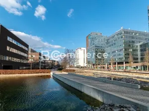 Pronájem kanceláře, Brno, 240 m2