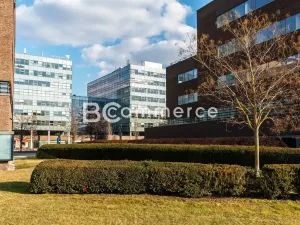 Pronájem kanceláře, Brno, 240 m2