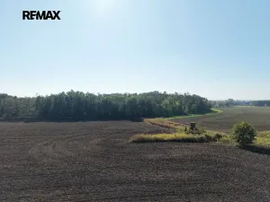 Prodej komerčního pozemku, Rokytno, 99492 m2