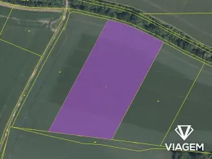 Prodej podílu pole, Budiměřice, 3860 m2