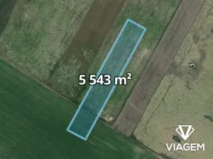 Prodej pole, Moravský Žižkov, 5543 m2