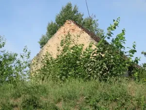 Dražba rodinného domu, Sovolusky, 1116 m2