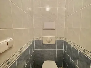 Pronájem bytu 1+1, Dobřejovice, Sportovní, 46 m2