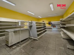 Pronájem obchodního prostoru, Bystřice nad Pernštejnem - Domanín, 151 m2