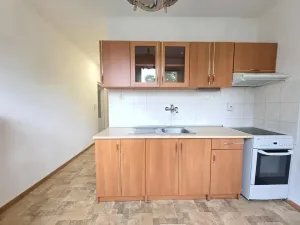 Prodej bytu 1+1, Most, Jiřího Wolkera, 41 m2