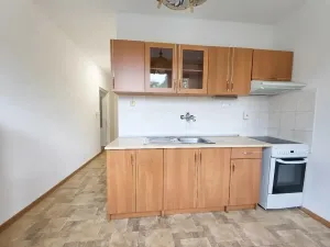 Prodej bytu 1+1, Most, Jiřího Wolkera, 41 m2
