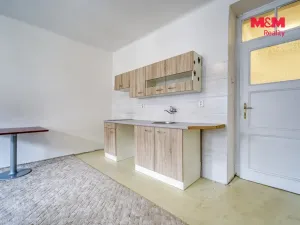 Pronájem bytu 1+kk, Plzeň - Východní Předměstí, Sladkovského, 30 m2