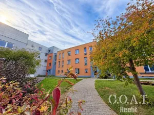 Prodej bytu 1+kk, Plzeň, Karlova, 42 m2