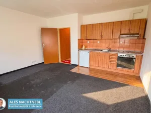 Prodej bytu 1+kk, Albrechtice v Jizerských horách, 30 m2