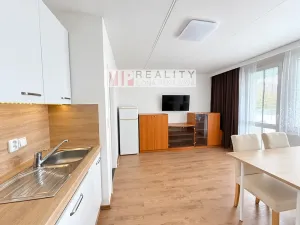Pronájem bytu 1+kk, Brno, Oderská, 35 m2