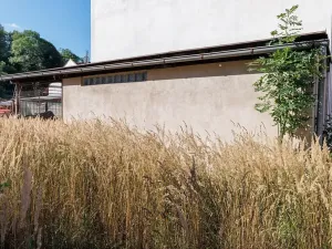 Prodej obchodního prostoru, Úpice, Puškinova, 406 m2