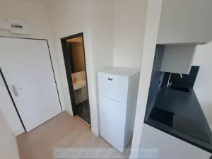 Pronájem bytu 1+kk, Praha - Radlice, 42 m2