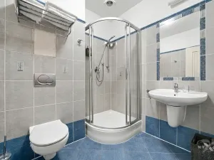 Prodej bytu 1+kk, Praha - Vinohrady, Balbínova, 23 m2