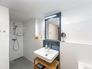 Prodej bytu 1+kk, Praha - Karlín, U Mlýnského kanálu, 80 m2