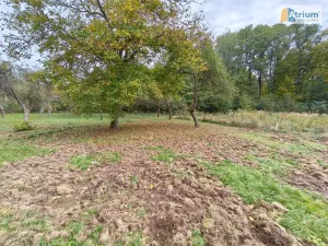 Pronájem zemědělské usedlosti, Ondřejov, Brožkova, 80 m2