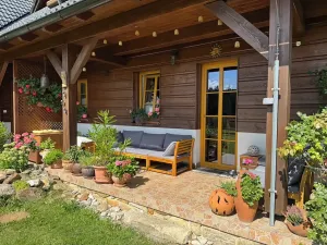 Prodej ubytování, Nové Hutě, 300 m2