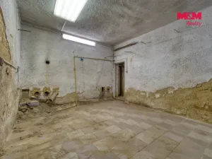 Prodej obchodního prostoru, Plzeň, Božkovská, 77 m2