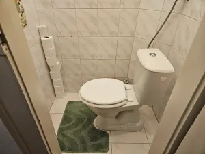 Pronájem bytu 2+kk, Praha - Žižkov, Čajkovského, 60 m2