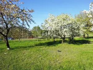 Prodej zahrady, Mělník, 9817 m2