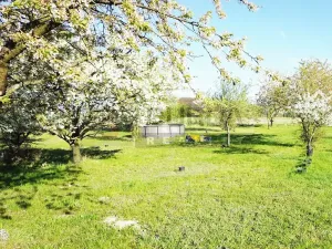 Prodej zahrady, Mělník, 9817 m2