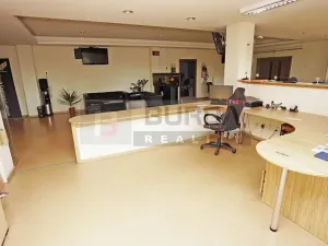 Pronájem komerční nemovitosti, Kojetice, 74 m2