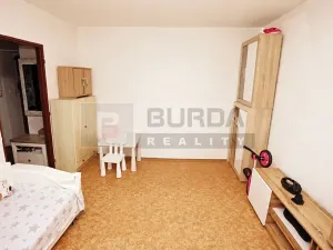 Prodej bytu 1+1, Neratovice, 30 m2