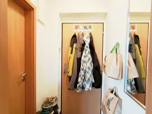 Pronájem bytu 1+kk, Brno, Skořepka, 24 m2