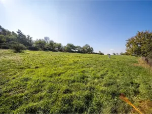 Prodej pozemku pro bydlení, Daleké Dušníky, 5258 m2